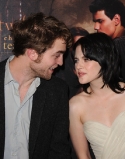 Twilight Paris (4)
